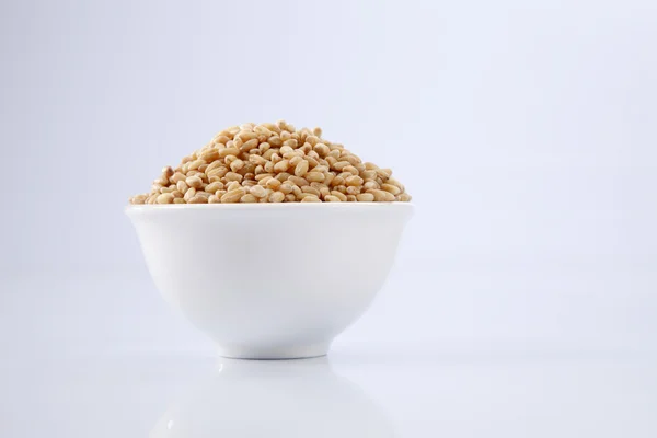 Tazón de grano de trigo — Foto de Stock