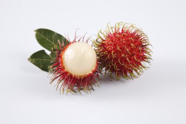 Asya meyve rambutans