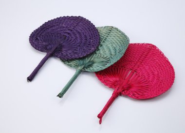 palmiye yaprakları hayranlarından