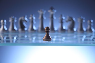 Satranç figürleri görünümü