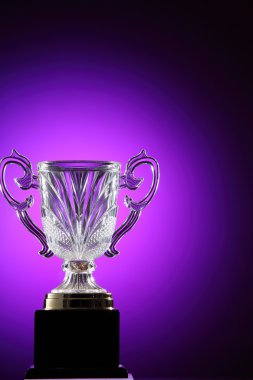 Mor Kristal Kupası