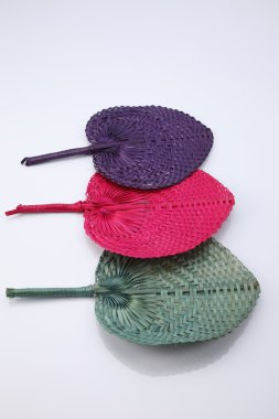 palmiye yaprakları hayranlarından