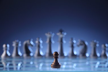 Satranç figürleri görünümü