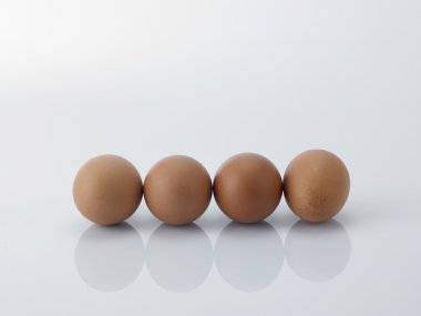 taze kahverengi yumurta