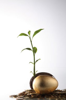 yatırım büyümek bir ağaç gibi