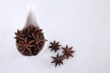 beyaz daire yıldızlarda anason 