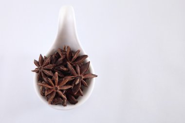 beyaz daire yıldızlarda anason 