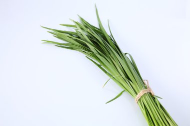 Yeşil sarımsak chives