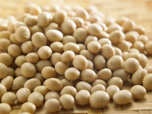 Dry soy beans — Stock Photo, Image