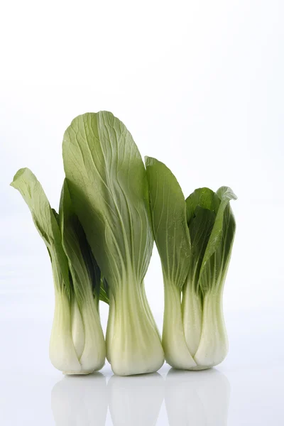 グリーン青梗菜 — ストック写真