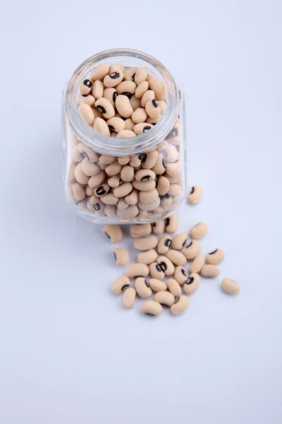 Black Eyed Peas — Stockfoto