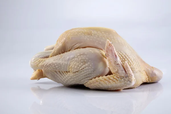 One crude hen — Stock Photo, Image