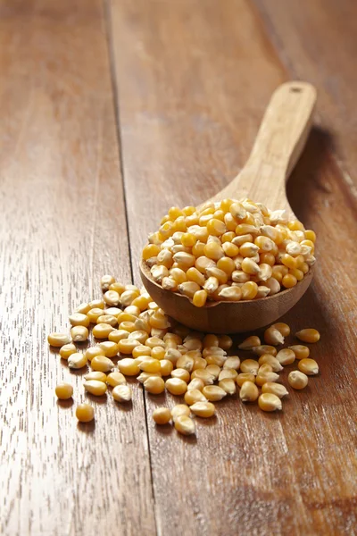 Yellow dry corn — Stock Photo, Image