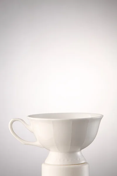One tea cup — Stock Photo, Image
