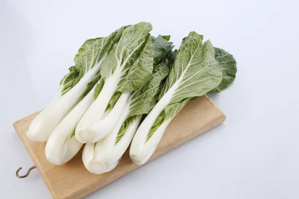 朴菜または sawi putih — ストック写真