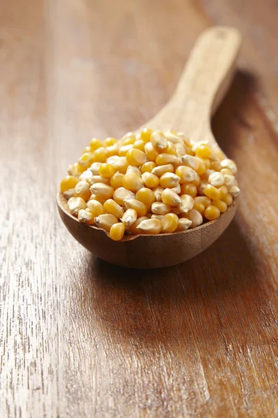 Yellow dry corn — Stock Photo, Image