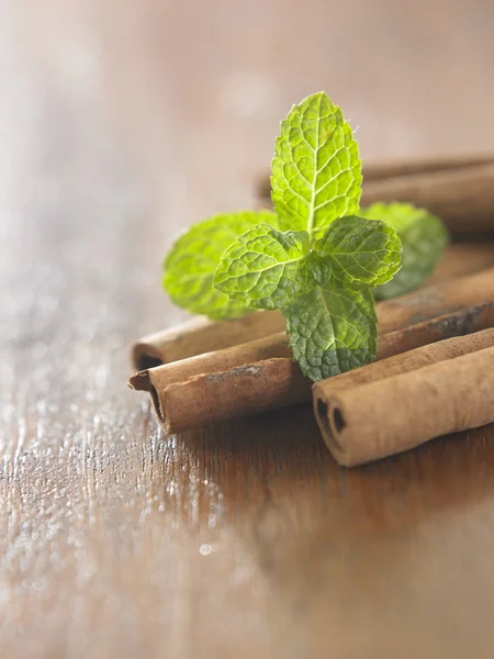 Menthe à la cannelle parfumée — Photo