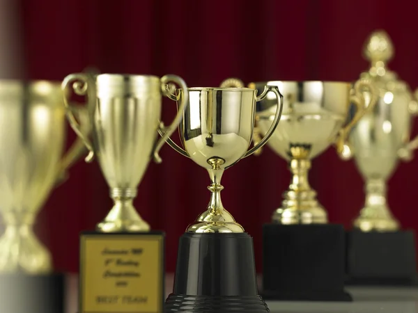 Taças de troféu lustrosas variedade — Fotografia de Stock