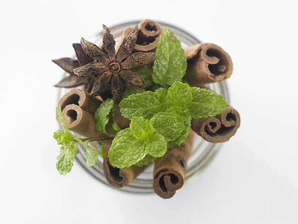 Mint and cinnamon on white — Stock Photo, Image