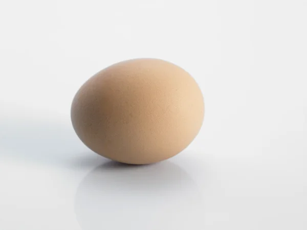 Chicken egg on white — Stock Photo, Image