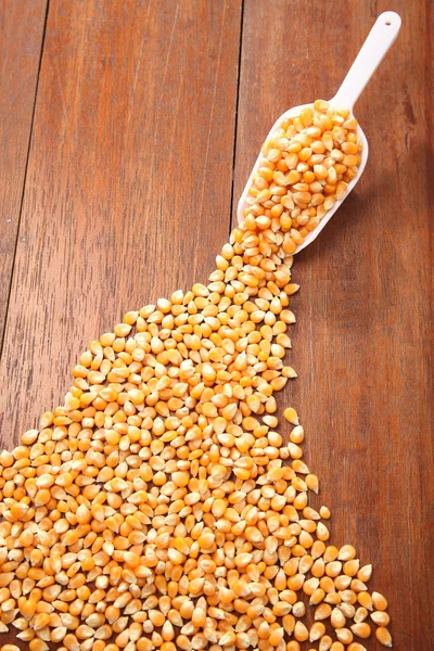 Yellow dry corn — Stock Photo, Image