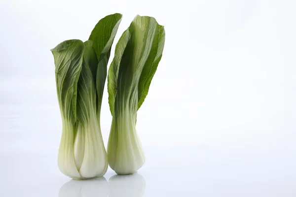 Zöld Bok choy — Stock Fotó