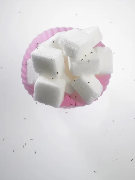 白糖キューブ — ストック写真