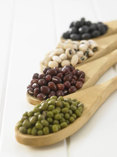 Assortment of different beans — Stock Photo, Image