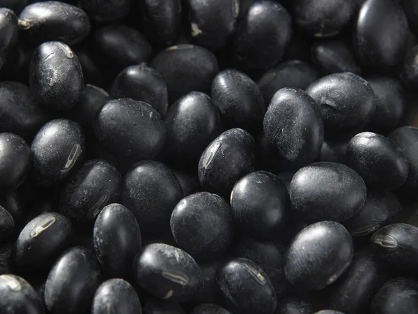 Trockene schwarze Bohnen — Stockfoto