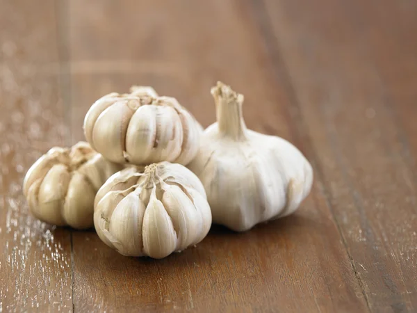 Fresh dryed garlic — Stock Photo, Image