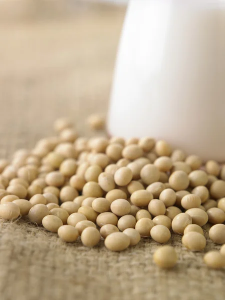 Soy beans with milk — Stock Photo, Image