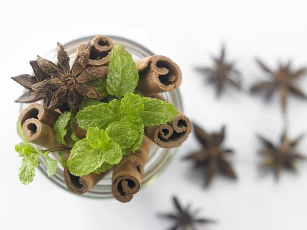 Mint and cinnamon on white — Stock Photo, Image