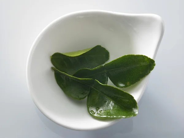 Bergamott kaffir lime levél — Stock Fotó