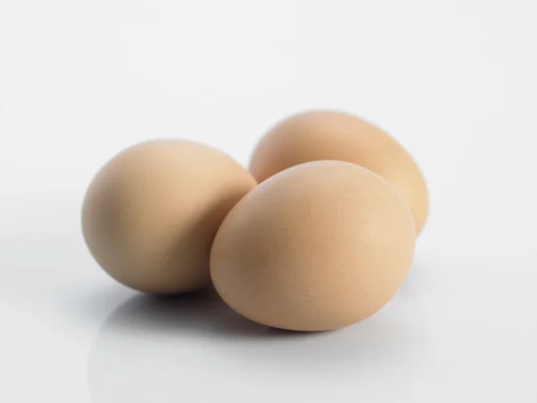 Friss barna tojás — Stock Fotó