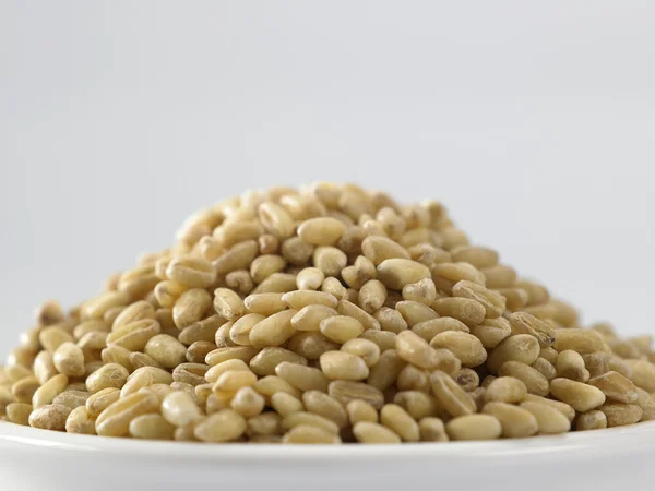Bowl of wheat grain — Stock Photo, Image