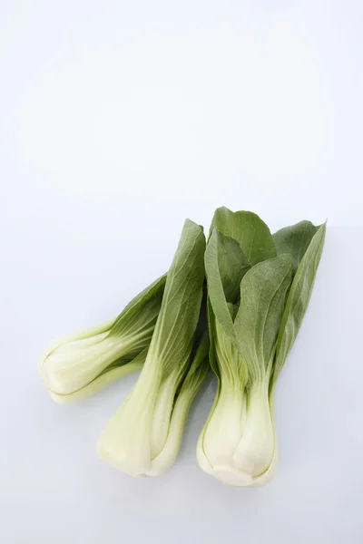 Yeşil Çin lahanası — Stok fotoğraf