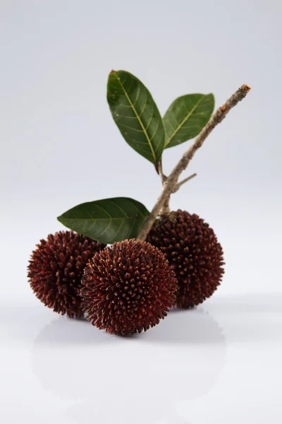 Frutos de pulasana ou de kapulasana — Fotografia de Stock