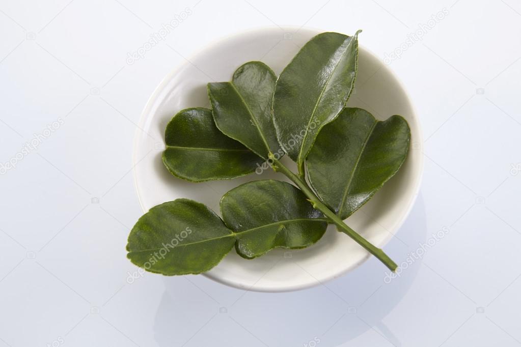 bergamot kaffir lime leaves