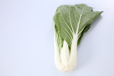Pak choy veya sawi putih