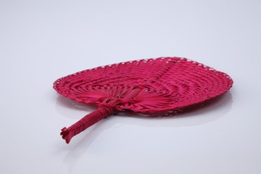 yelpaze--dan palmiye yaprakları