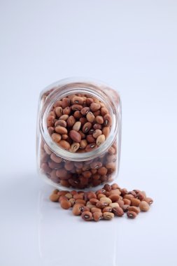 Nijeryalı kahverengi fasulye