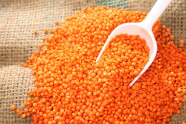 Kuru kırmızı rentils