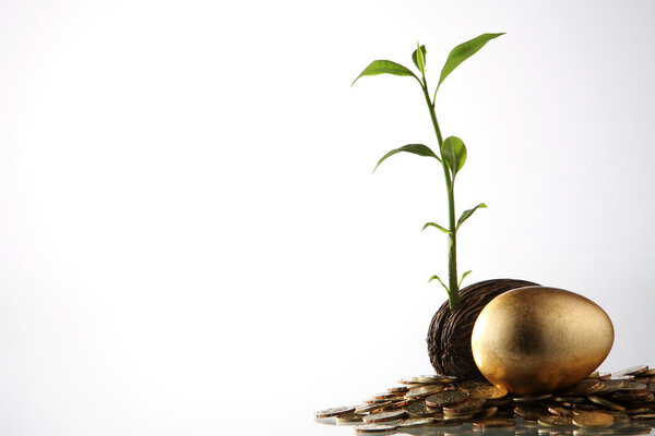 инвестиции растут как дерево
