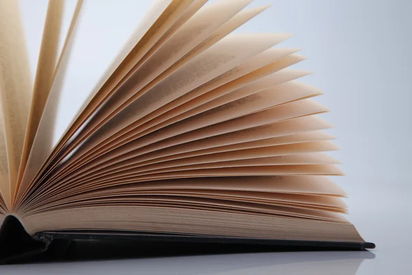 Kitap sayfaları Fanlı