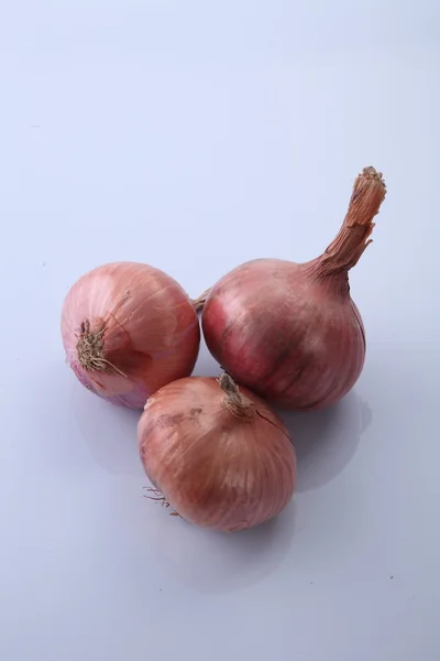 Fresh onions on white — Stock Photo, Image