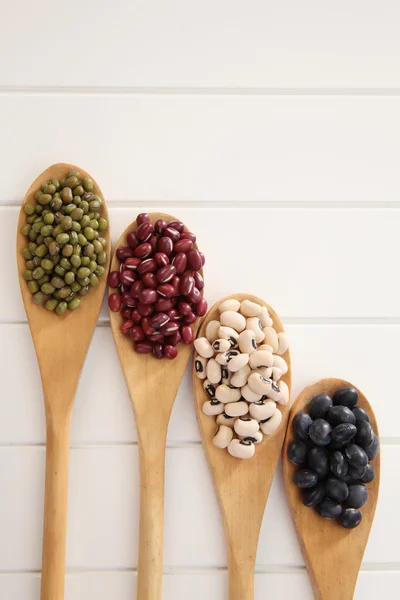 Assortment of different beans — Stock Photo, Image