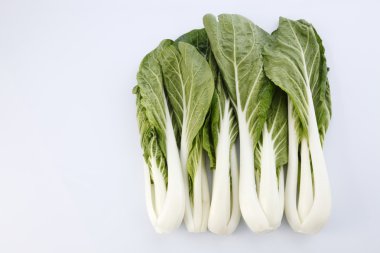 Pak choy veya sawi putih