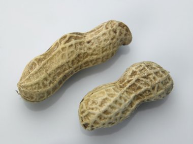 Beyaz üzerine kuru fıstık