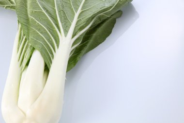 Pak choy veya sawi putih