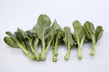 Çin hardalı yeşil